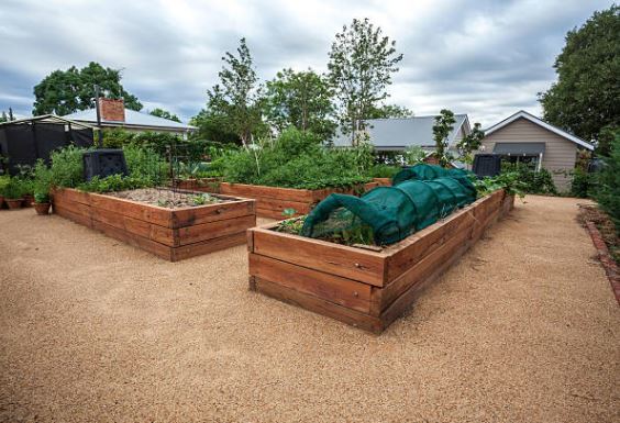 raised vegetable beds south africa