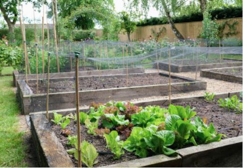 benefits of planter boxes
