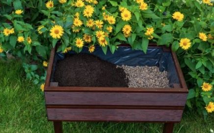 Does a planter need holes in the bottom